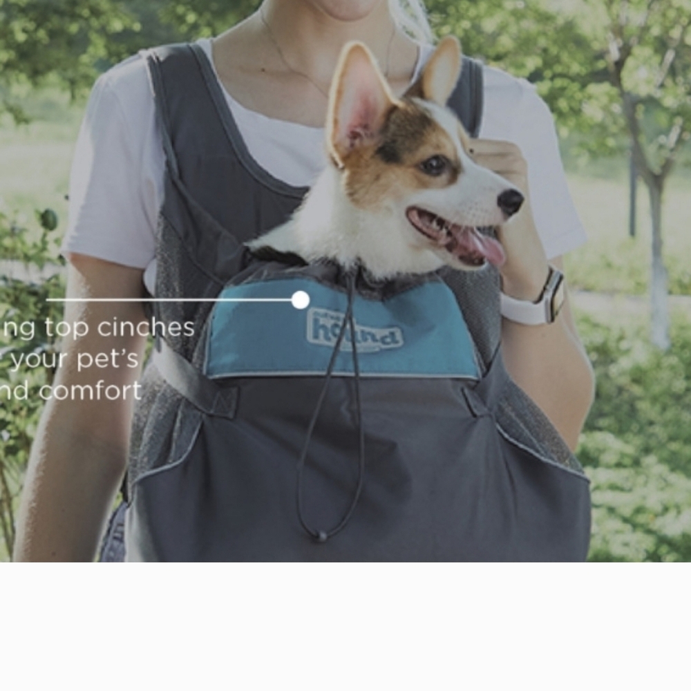 Outward Hound Gray and Blue Dog Carrier - Picture 2 of 5